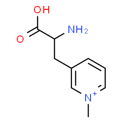 ChemSpider 2D Image | 3-(1-Methyl-3-pyridiniumyl)alanine | C9H13N2O2