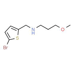 ChemSpider 2D Image | N-[(5-Bromo-2-thienyl)methyl]-3-methoxy-1-propanamine | C9H14BrNOS