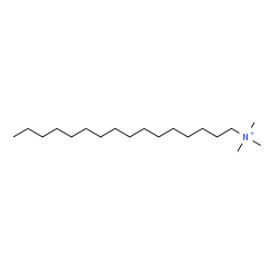 ChemSpider 2D Image | cetyltrimethylammonium | C19H42N
