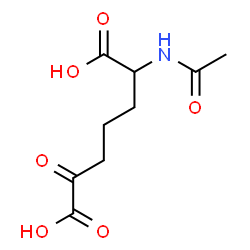 ChemSpider 2D Image | 2-Acetamido-6-oxoheptanedioic acid | C9H13NO6