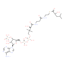 ChemSpider 2D Image | (R)-2-hydroxy-4-methylpentanoyl-CoA | C27H46N7O18P3S