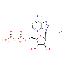 ChemSpider 2D Image | hydrogen ADP | C10H16N5O10P2
