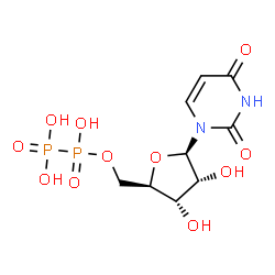 ChemSpider 2D Image | uridine 5′-O-hypophosphate | C9H14N2O11P2