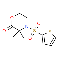 ChemSpider 2D Image | 3,3-Dimethyl-4-(2-thienylsulfonyl)-2-morpholinone | C10H13NO4S2