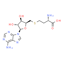 ChemSpider 2D Image | (2S)-2-amino-4-[[(2S,3R,4R,5R)-5-(6-aminopurin-9-yl)-3,4-dihydroxy-tetrahydrofuran-2-yl]methylsulfanyl]butanoic acid | C14H20N6O5S