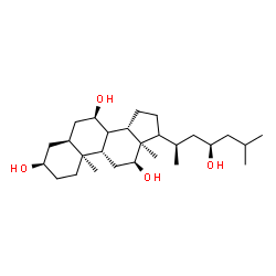 ChemSpider 2D Image | (3alpha,5beta,7alpha,8xi,12alpha,17xi,23R)-Cholestane-3,7,12,23-tetrol | C27H48O4