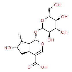 ChemSpider 2D Image | (1S,4aS,6S,7R)-1-(beta-D-Glucopyranosyloxy)-6-hydroxy-7-methyl-1,4a,5,6,7,7a-hexahydrocyclopenta[c]pyran-4-carboxylic acid | C16H24O10