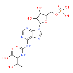 ChemSpider 2D Image | N-{[9-(5-O-Phosphonopentofuranosyl)-9H-purin-6-yl]carbamoyl}threonine | C15H21N6O11P