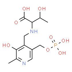 ChemSpider 2D Image | N-({3-Hydroxy-2-methyl-5-[(phosphonooxy)methyl]-4-pyridinyl}methyl)threonine | C12H19N2O8P