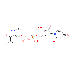 ChemSpider 2D Image | 3-Acetamido-5-amino-4-hydroxy-6-methyltetrahydro-2H-pyran-2-yl [5-(2,4-dioxo-3,4-dihydro-1(2H)-pyrimidinyl)-3,4-dihydroxytetrahydro-2-furanyl]methyl dihydrogen diphosphate | C17H28N4O15P2