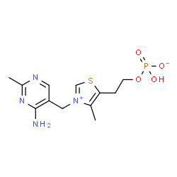 ChemSpider 2D Image | THIAMINE PHOSPHORIC ACID ESTER | C12H17N4O4PS