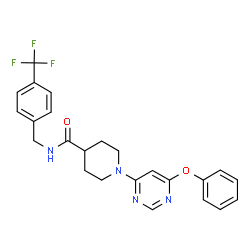ChemSpider 2D Image | 1-(6-Phenoxy-4-pyrimidinyl)-N-[4-(trifluoromethyl)benzyl]-4-piperidinecarboxamide | C24H23F3N4O2