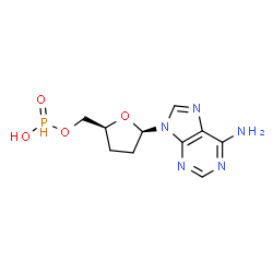 ChemSpider 2D Image | [(2S,5R)-5-(6-Amino-9H-purin-9-yl)tetrahydro-2-furanyl]methyl hydrogen phosphonate | C10H14N5O4P