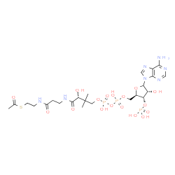 ChemSpider 2D Image | S-{(9R)-1-[(2R,3S,4R)-5-(6-Amino-9H-purin-9-yl)-4-hydroxy-3-(phosphonooxy)tetrahydro-2-furanyl]-3,5,9-trihydroxy-8,8-dimethyl-3,5-dioxido-10,14-dioxo-2,4,6-trioxa-11,15-diaza-3lambda~5~,5lambda~5~-dip
hosphaheptadecan-17-yl} ethanethioate | C23H38N7O17P3S