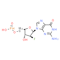 ChemSpider 2D Image | 2-Amino-9-{2-deoxy-2-fluoro-5-O-[hydroxy(oxido)phosphoranyl]-beta-D-arabinofuranosyl}-1,9-dihydro-6H-purin-6-one | C10H13FN5O6P