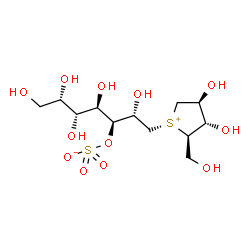 ChemSpider 2D Image | (2S,3S,4R,5R,6S)-1-[(2R,3S,4S)-3,4-Dihydroxy-2-(hydroxymethyl)tetrahydro-1-thiopheniumyl]-2,4,5,6,7-pentahydroxy-3-heptanyl sulfate | C12H24O12S2