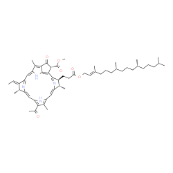 ChemSpider 2D Image | Methyl (3S,4S,13R,14E,21R)-9-acetyl-14-ethylidene-4,8,13,18-tetramethyl-20-oxo-3-(3-oxo-3-{[(2E,7R,11R)-3,7,11,15-tetramethyl-2-hexadecen-1-yl]oxy}propyl)-13,14-dihydro-21-phorbinecarboxylate | C55H74N4O6