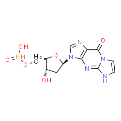 ChemSpider 2D Image | 3-{2-Deoxy-5-O-[hydroxy(oxido)phosphoranyl]-beta-D-erythro-pentofuranosyl}-3,5-dihydro-9H-imidazo[1,2-a]purin-9-one | C12H14N5O6P
