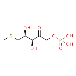 ChemSpider 2D Image | 5-S-Methyl-1-O-phosphono-5-thio-D-xylulose | C6H13O7PS