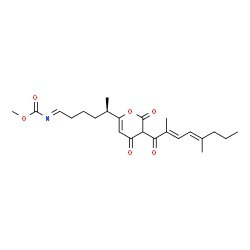 ChemSpider 2D Image | Methyl [(1E,5R)-5-{3-[(2E,4E)-2,5-dimethyl-2,4-octadienoyl]-2,4-dioxo-3,4-dihydro-2H-pyran-6-yl}hexylidene]carbamate | C23H31NO6
