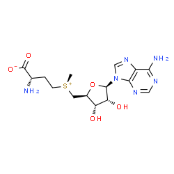 ChemSpider 2D Image | (R)-ademetionine | C15H22N6O5S