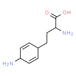 ChemSpider 2D Image | 2-Amino-4-(4-amino-2,5-cyclohexadien-1-yl)butanoic acid | C10H16N2O2