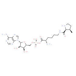 ChemSpider 2D Image | 5'-O-[(R)-{[(2S)-2-Amino-6-{[(3R)-3-methyl-L-prolyl]amino}hexanoyl]oxy}(hydroxy)phosphoryl]adenosine | C22H35N8O9P