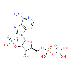 ChemSpider 2D Image | 2'-MONOPHOSPHOADENOSINE-5'-DIPHOSPHATE | C10H16N5O13P3