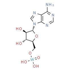 ChemSpider 2D Image | [9-(alpha-L-Arabinofuranosyl-kappaO~5~)-9H-purin-6-aminato](dihydroxy)oxotungsten | C10H14N5O7W