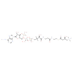 ChemSpider 2D Image | O5'-(4-(3-{2-[2-((R)-3-HYDROXY-4-(TRIMETHYLAMMONIO)-1-OXO-BUTYL)SULFANYL-ETHYLCARBAMOYL]-ETHYLCARBAMOYL}-(R)-3-HYDROXY-2,2-DIMETHYL-PROPYL)-1-HYDROXY-3-OXIDO-1,3-DIOXO-2,4-DIOXA-1,3-DIPHOSPHABUT-1-YL) 3'-PHOSPHO-ADENOSINE | C28H49N8O18P3S