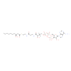 ChemSpider 2D Image | 3R-HYDROXYDECANOYL-COA | C31H54N7O18P3S