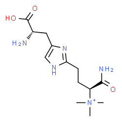 ChemSpider 2D Image | (2S)-1-Amino-4-{4-[(2S)-2-amino-2-carboxyethyl]-1H-imidazol-2-yl}-N,N,N-trimethyl-1-oxo-2-butanaminium | C13H24N5O3
