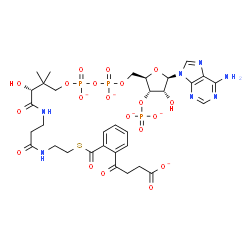 ChemSpider 2D Image | 4-(2-{(9R)-1-[(2R,3S,4R,5R)-5-(6-Amino-9H-purin-9-yl)-4-hydroxy-3-(phosphonatooxy)tetrahydro-2-furanyl]-9-hydroxy-8,8-dimethyl-3,3,5,5-tetraoxido-10,14,19-trioxo-2,4,6-trioxa-18-thia-11,15-diaza-3lamb
da~5~,5lambda~5~-diphosphanonadecan-19-yl}phenyl)-4-oxobutanoate | C32H39N7O20P3S