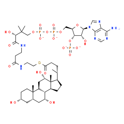 ChemSpider 2D Image | choloyl-CoA(4-) | C45H70N7O20P3S