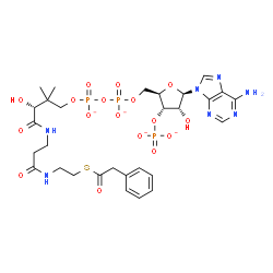 ChemSpider 2D Image | Adenosine, 5'-O-[hydroxy[[hydroxy[(3R)-3-hydroxy-2,2-dimethyl-4-oxo-4-[[3-oxo-3-[[2-[(2-phenylacetyl)thio]ethyl]amino]propyl]amino]butoxy]phosphinyl]oxy]phosphinyl]-, 3'-(dihydrogen phosphate), ion(4-
) | C29H38N7O17P3S
