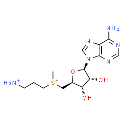 ChemSpider 2D Image | {[(2S,3S,4R,5R)-5-(6-Amino-9H-purin-9-yl)-3,4-dihydroxytetrahydro-2-furanyl]methyl}(3-ammoniopropyl)methylsulfonium | C14H24N6O3S