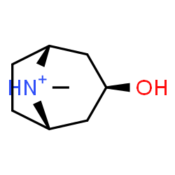 ChemSpider 2D Image | (3-exo,8-syn)-3-Hydroxy-8-methyl-8-azoniabicyclo[3.2.1]octane | C8H16NO