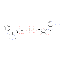 ChemSpider 2D Image | [[(2R,3S,4R,5R)-5-(6-aminopurin-9-yl)-3,4-dihydroxy-tetrahydrofuran-2-yl]methoxy-oxido-phosphoryl] [(2R,3S,4S)-5-(7,8-dimethyl-2,4-dioxo-benzo[g]pteridin-3-id-10-yl)-2,3,4-trihydroxy-pentyl] phosphate | C27H30N9O15P2