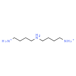 ChemSpider 2D Image | N-(4-Ammoniobutyl)-1,4-butanediaminium | C8H24N3