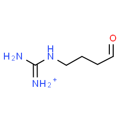 ChemSpider 2D Image | Imino[(4-oxobutyl)amino]methanaminium | C5H12N3O