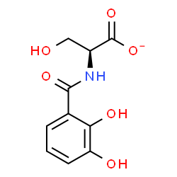 ChemSpider 2D Image | (2S)-2-[(2,3-Dihydroxybenzoyl)amino]-3-hydroxypropanoate | C10H10NO6