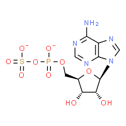 ChemSpider 2D Image | 5'-O-[(Sulfonatooxy)phosphinato]adenosine | C10H12N5O10PS