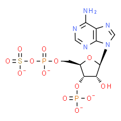 ChemSpider 2D Image | 3'-O-Phosphonato-5'-O-[(sulfonatooxy)phosphinato]adenosine | C10H11N5O13P2S
