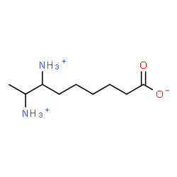 ChemSpider 2D Image | 7,8-Diammoniononanoate | C9H21N2O2