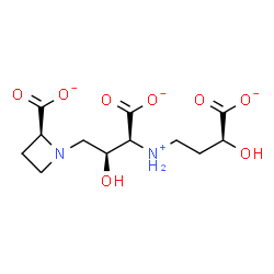 ChemSpider 2D Image | (2S)-1-[(2S,3S)-3-Carboxylato-3-{[(3S)-3-carboxylato-3-hydroxypropyl]ammonio}-2-hydroxypropyl]-2-azetidinecarboxylate | C12H18N2O8