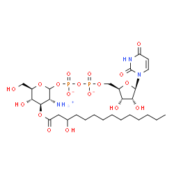 ChemSpider 2D Image | [(3R,4R,5S,6R)-3-azaniumyl-5-hydroxy-6-(hydroxymethyl)-4-(3-hydroxytetradecanoyloxy)tetrahydropyran-2-yl] [[(2R,3S,4R,5R)-5-(2,4-dioxopyrimidin-1-yl)-3,4-dihydroxy-tetrahydrofuran-2-yl]methoxy-oxido-phosphoryl] phosphate | C29H50N3O18P2