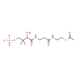ChemSpider 2D Image | N-[2-(Acetylsulfanyl)ethyl]-N~3~-[2-hydroxy-3,3-dimethyl-4-(phosphonatooxy)butanoyl]-beta-alaninamide | C13H23N2O8PS