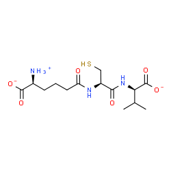 ChemSpider 2D Image | (2S)-2-Ammonio-6-{[(2R)-1-{[(1R)-1-carboxylato-2-methylpropyl]amino}-1-oxo-3-sulfanyl-2-propanyl]amino}-6-oxohexanoate | C14H24N3O6S