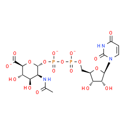 ChemSpider 2D Image | (2S,3S,4R,5S,6R)-5-Acetamido-6-({[({[(2R,3S,4R,5R)-5-(2,4-dioxo-3,4-dihydro-1(2H)-pyrimidinyl)-3,4-dihydroxytetrahydro-2-furanyl]methoxy}phosphinato)oxy]phosphinato}oxy)-3,4-dihydroxytetrahydro-2H-pyr
an-2-carboxylate | C17H22N3O18P2