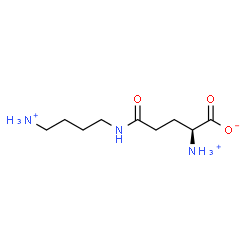 ChemSpider 2D Image | (2S)-2-Ammonio-5-[(4-ammoniobutyl)amino]-5-oxopentanoate | C9H20N3O3